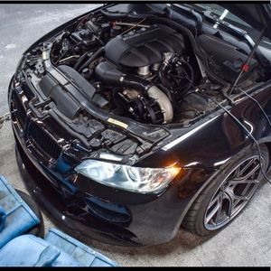 Meet your Posher, Peyton